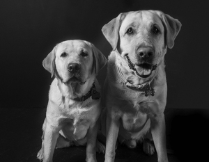 Fundraising Page: Cecil and Libby Slate